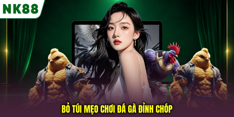 Mẹo phân tích trận đấu và quản lý vốn khi chơi đá gà NK88 Bỏ túi mẹo chơi đá gà đỉnh chóp