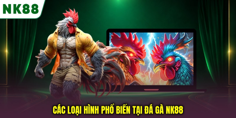 Các loại hình đá gà NK88 phổ biến trên sảnh trực tuyến Các loại hình phổ biến tại đá gà NK88