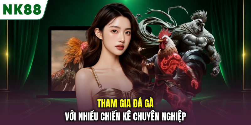 Đá gà NK88 với nhiều chiến kê chuyên nghiệp Tham gia đá gà với nhiều chiến kê chuyên nghiệp